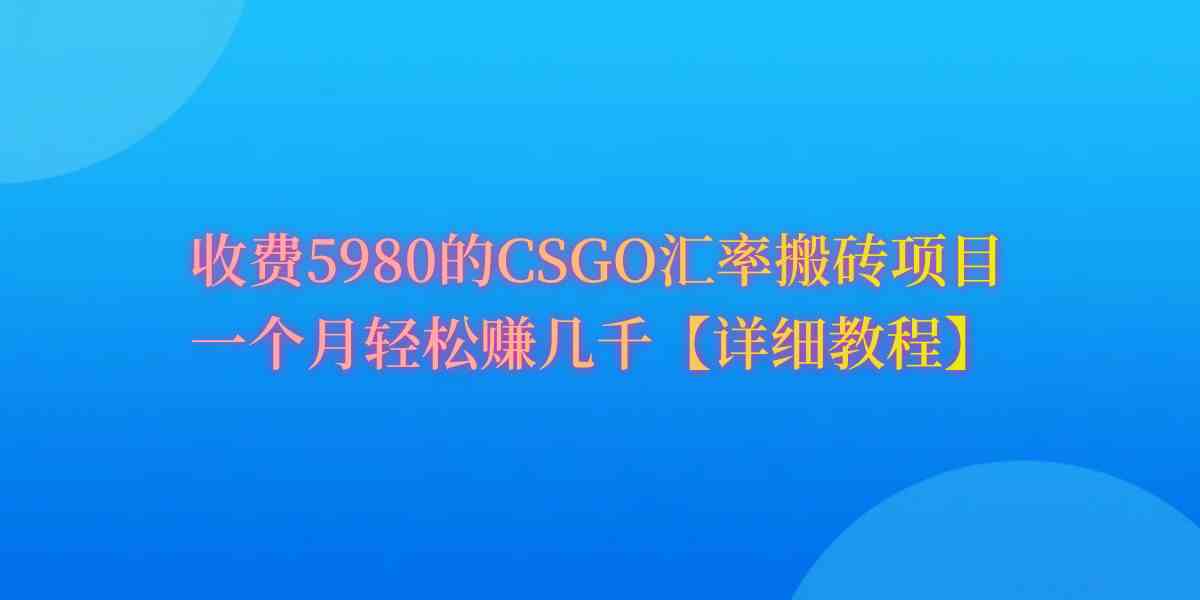 （9776期）CSGO装备搬砖，月综合收益率高达60%，你也可以！-小白项目分享网