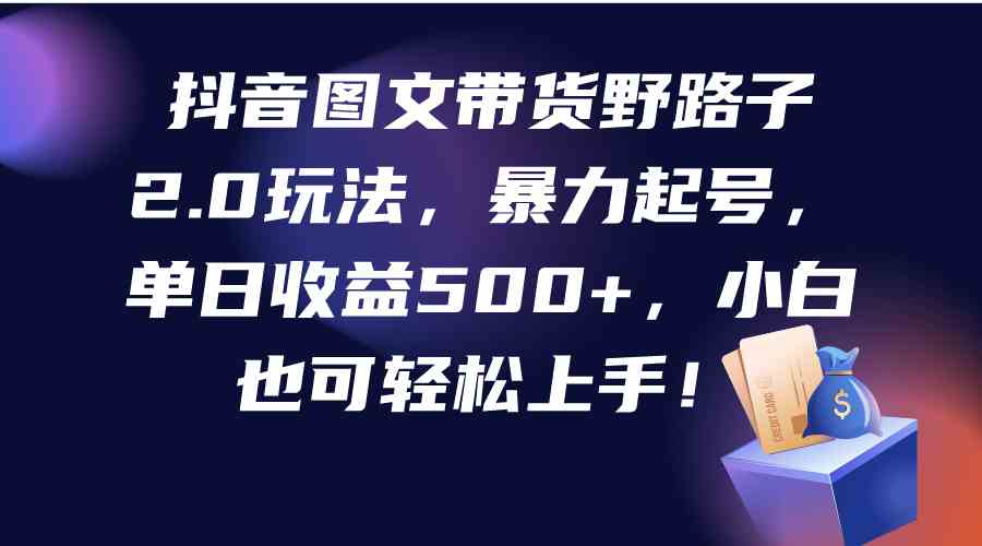 （9790期）抖音图文带货野路子2.0玩法，暴力起号，单日收益500+，小白也可轻松上手！-小白项目分享网