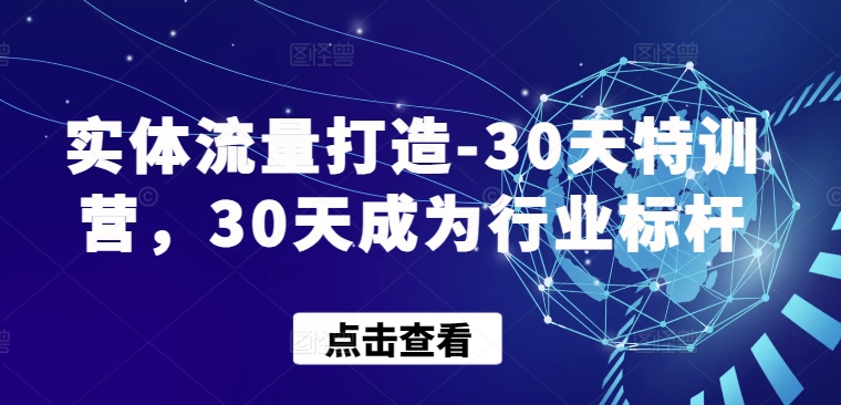 实体流量打造-30天特训营，30天成为行业标杆-小白项目分享网